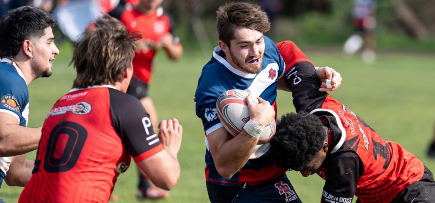 arc haydn williams frank fanara 905441 arc haydn williams frank fanara 905441