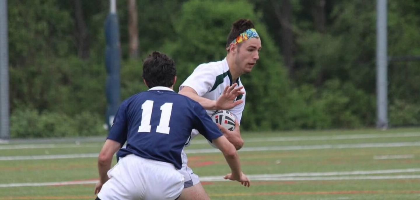 archmere danbark archmere danbark