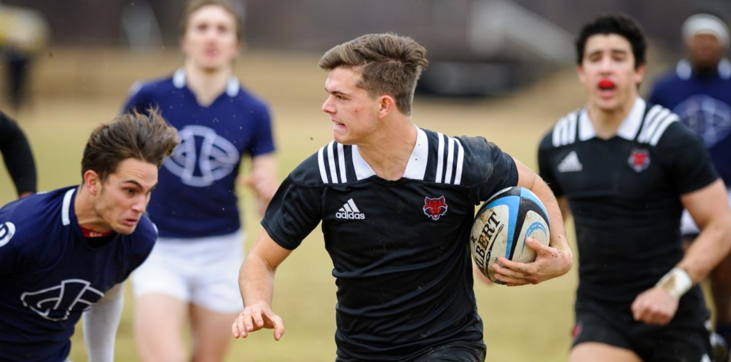 ark state brandon rokela ark state brandon rokela