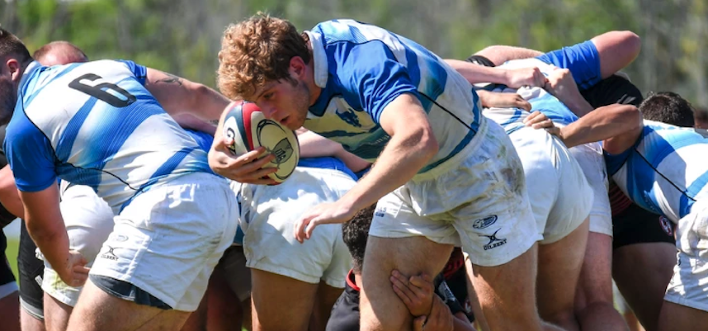 ash mallach ub rugby ash mallach ub rugby