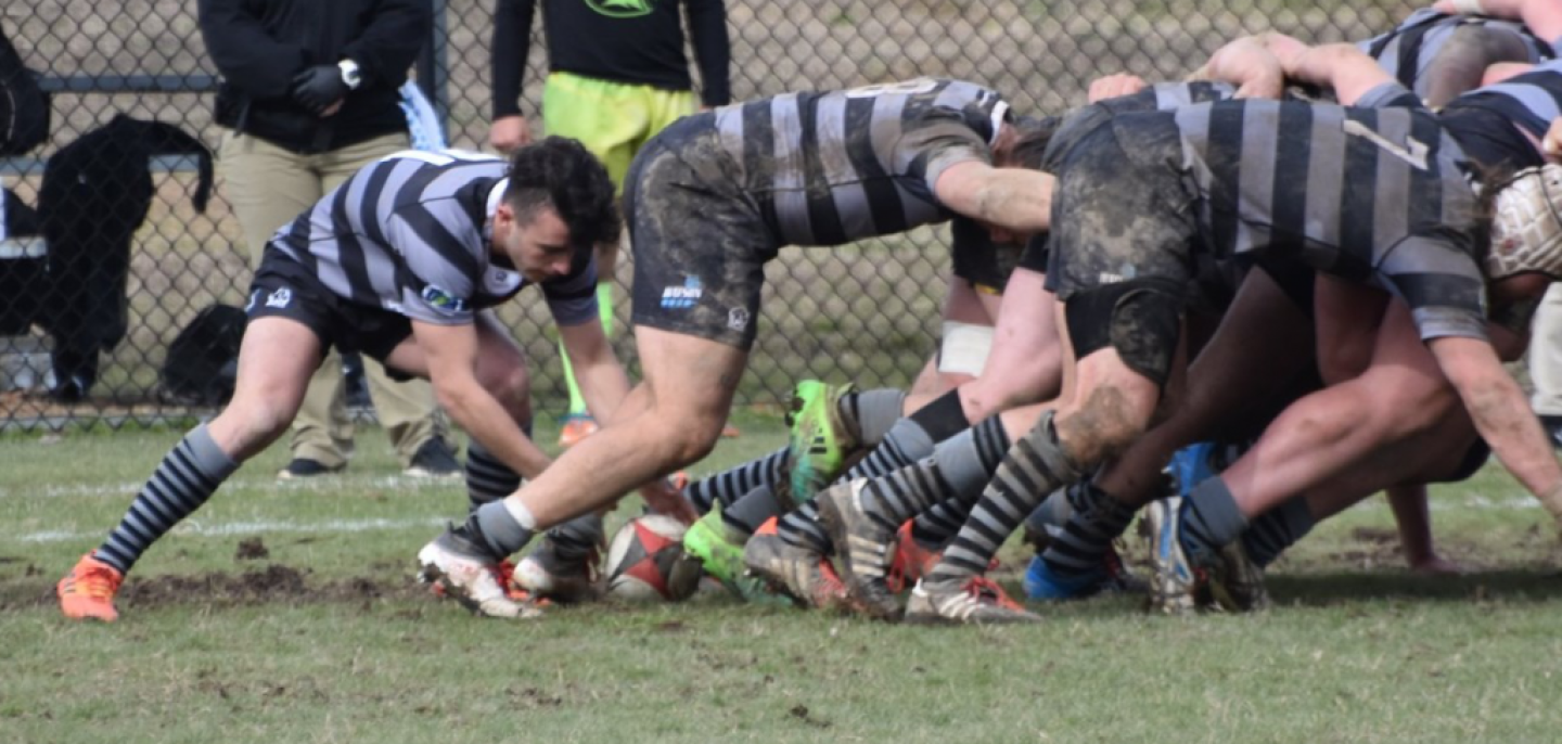 asu v life rich carvell 19 asu v life rich carvell 19