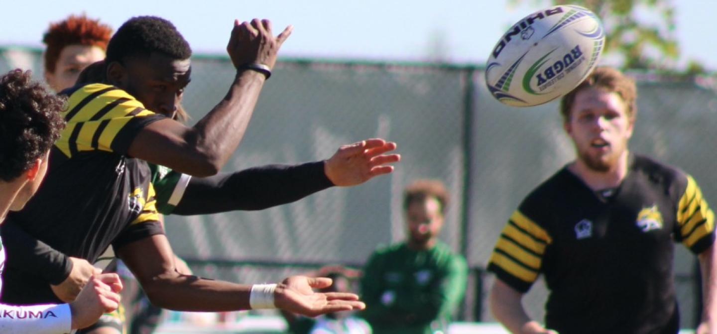 babson vs wayne state 2023 sc f alex goff 4842 cropped