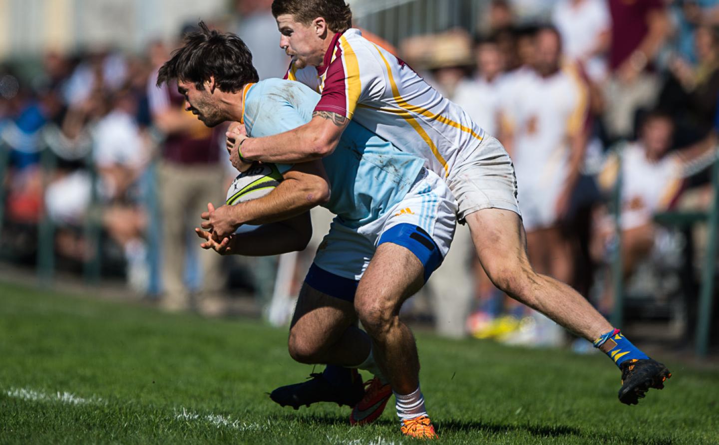 battleinbay arizonastate 2014 barpal 11