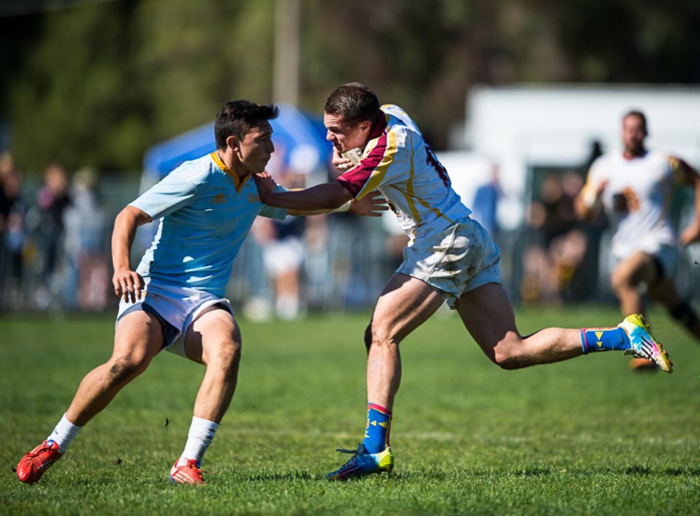 battleinbay arizonastate 2014 barpal 12 battleinbay arizonastate 2014 barpal 12