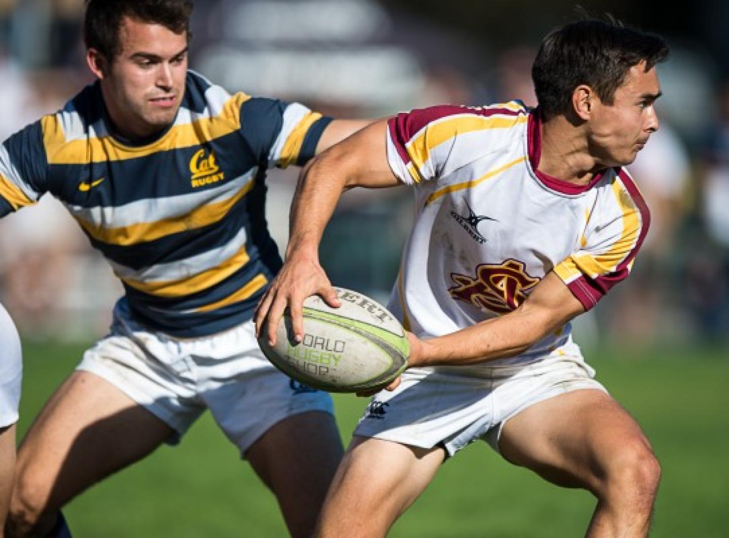 battleinbay arizonastate 2014 barpal 6