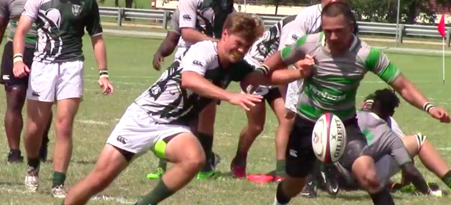 baylorvunt baylorvunt