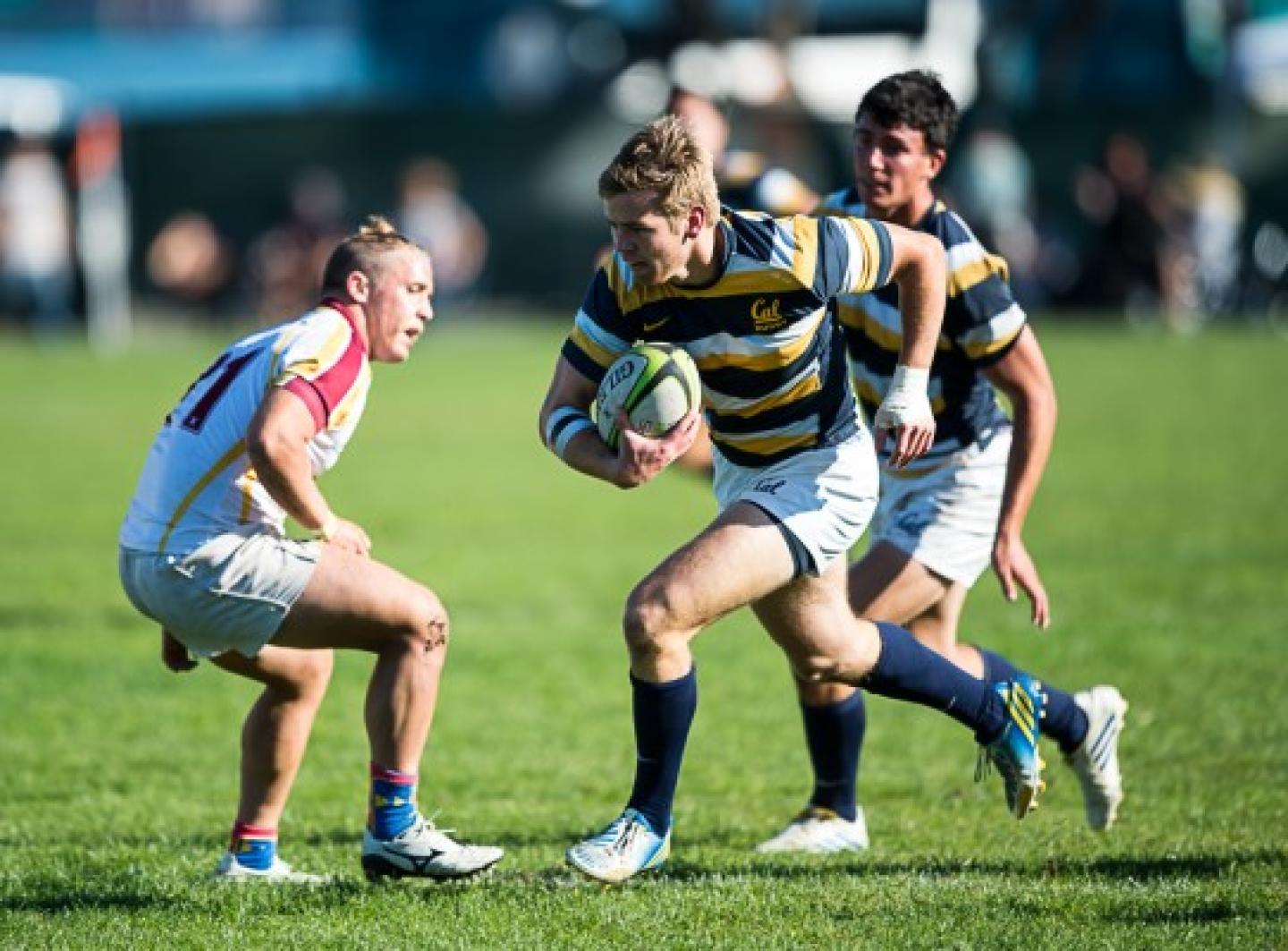 bibcal 2014 barpal 3 0 bibcal 2014 barpal 3 0