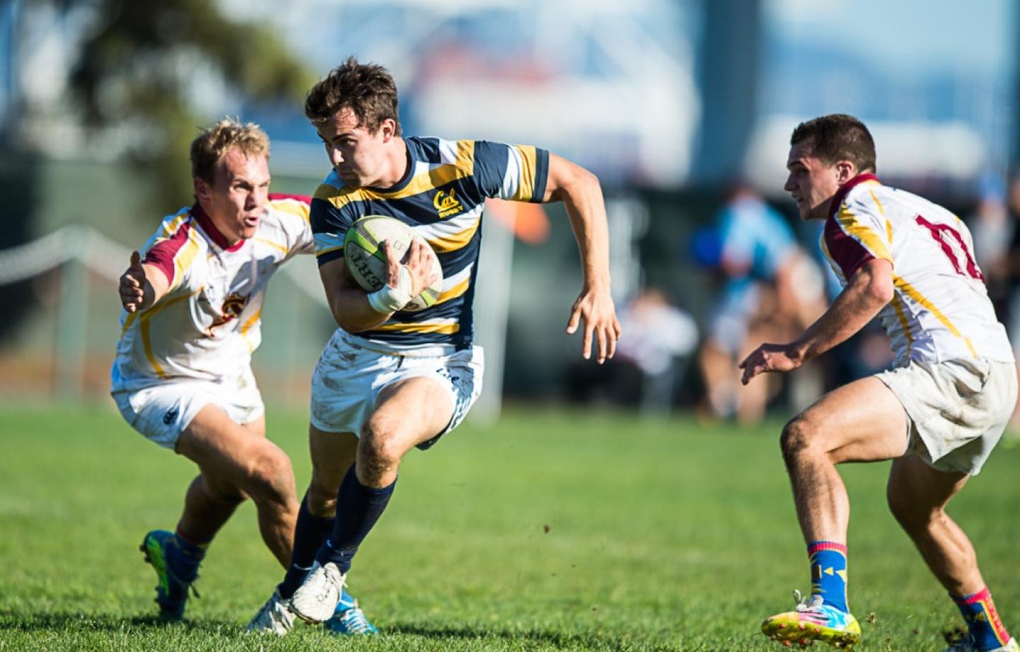 bibcal 2014 barpal 6 b bibcal 2014 barpal 6 b