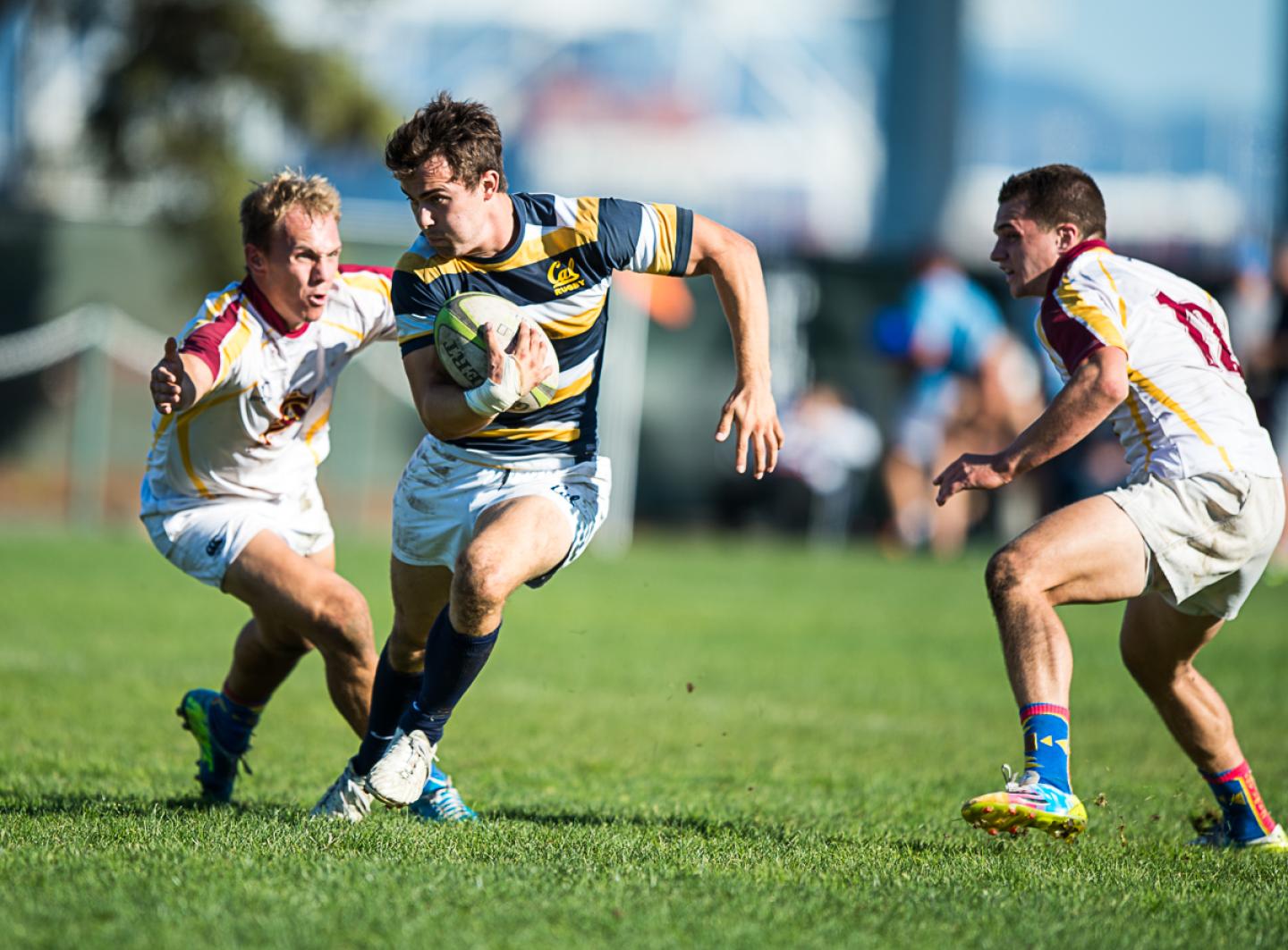 bibcal 2014 barpal 6 bibcal 2014 barpal 6