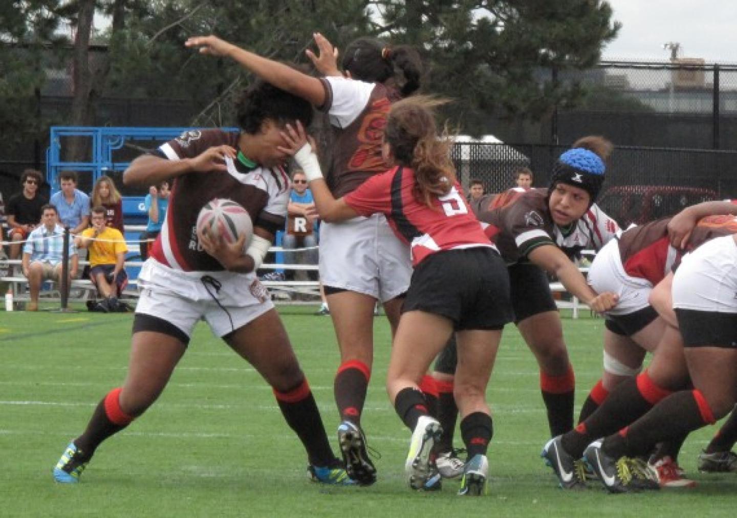 brown harvard ArielPeak 0 brown harvard ArielPeak 0