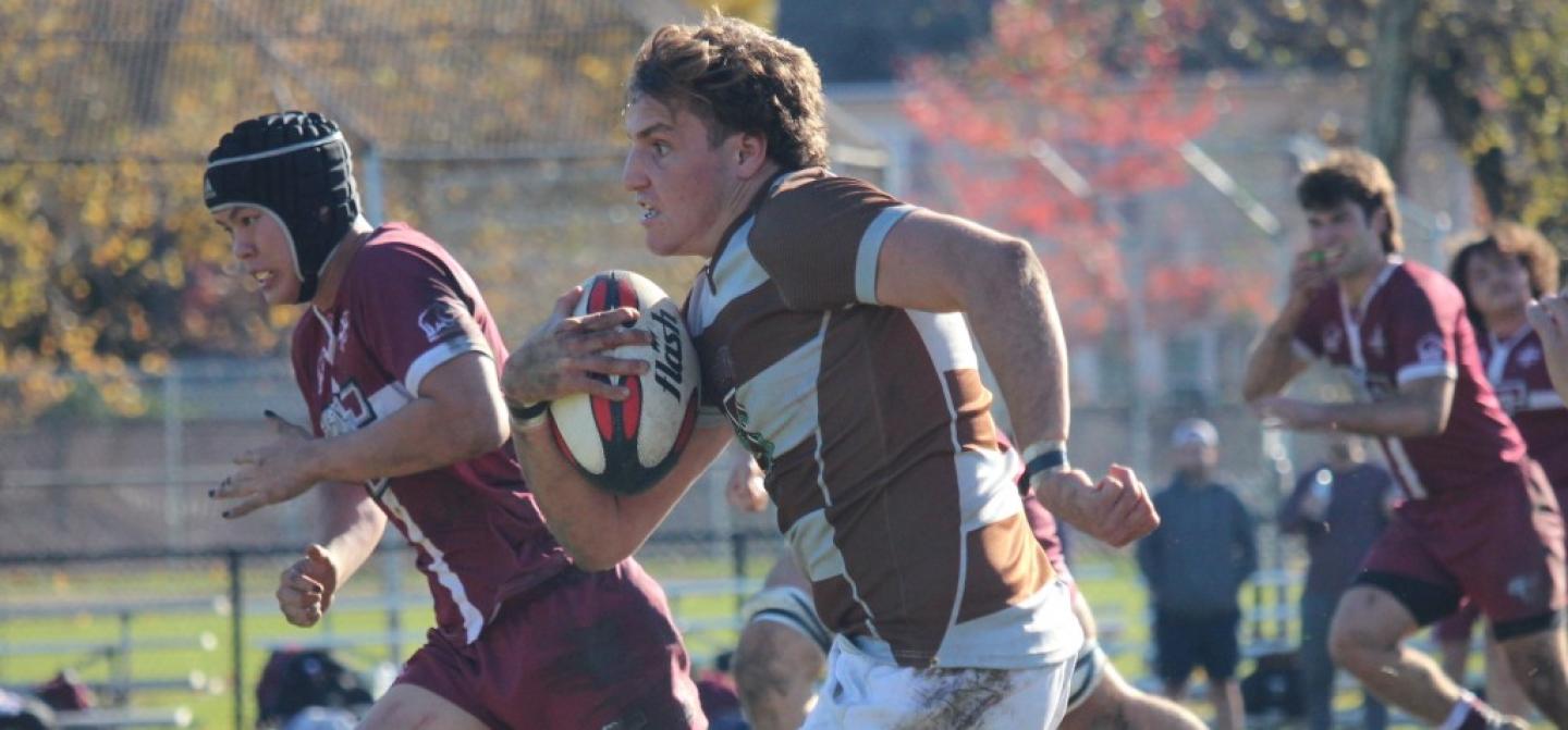 brown esteves brown esteves