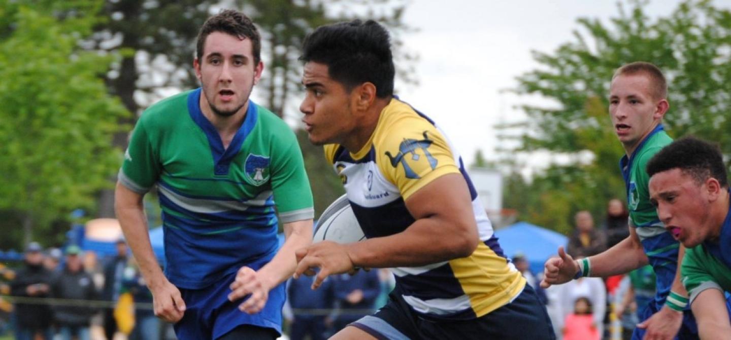 budd bay 2015 lui sitama carrie hunkin clark budd bay 2015 lui sitama carrie hunkin clark