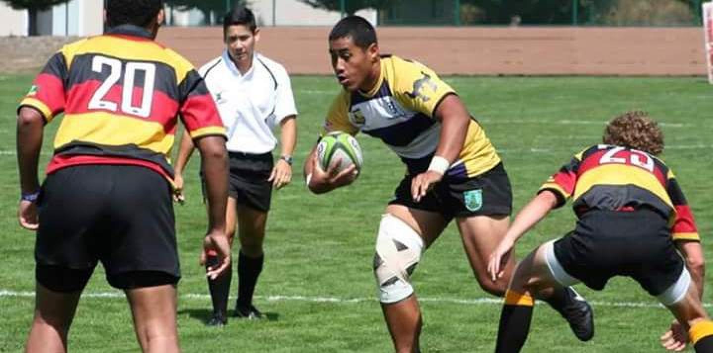 buddbay2017 ivan pula buddbay2017 ivan pula