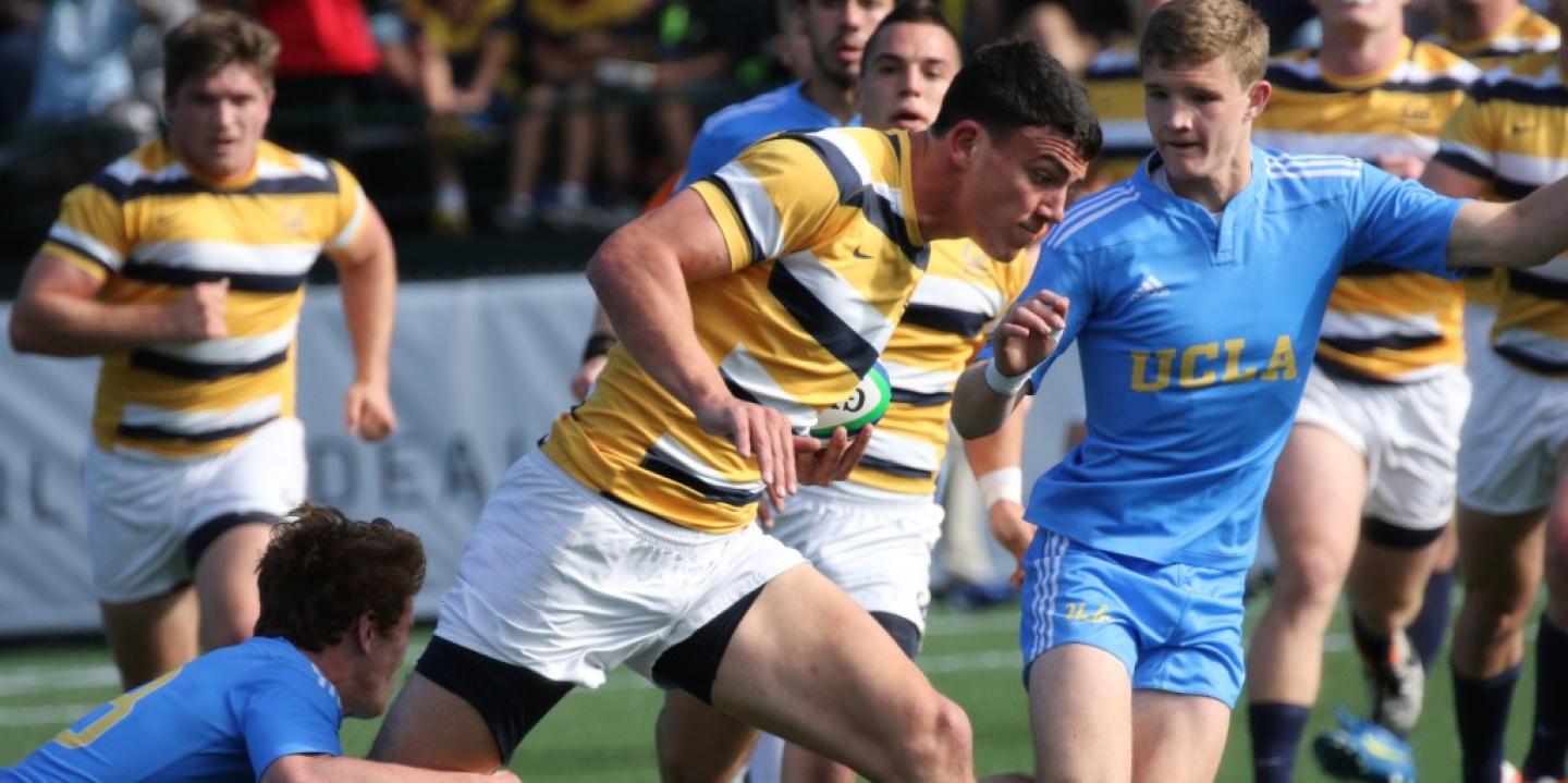 cal a salabervucla 2016 abflyerphoto cal a salabervucla 2016 abflyerphoto