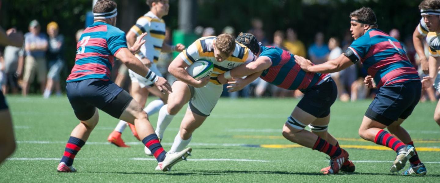 cal smcc barpal 713 cal smcc barpal 713