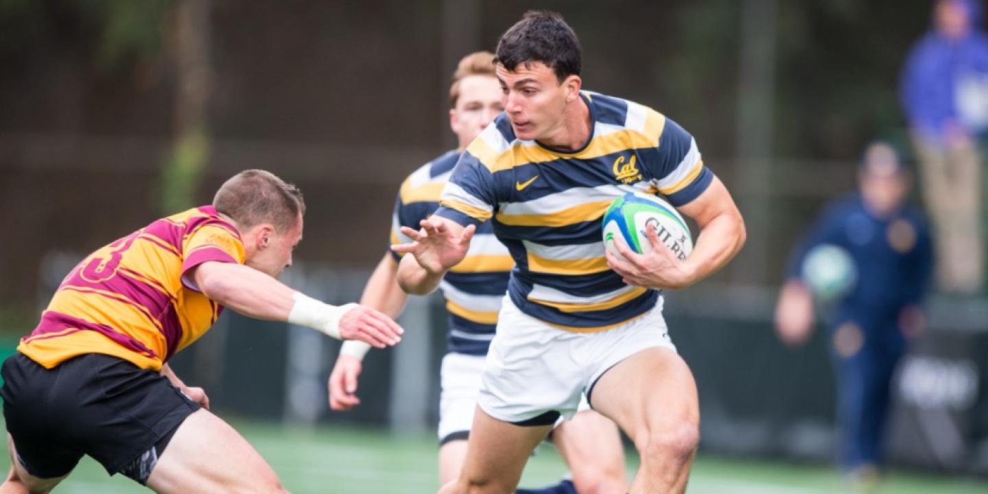 calvasu 2015 pac7s barpal calvasu 2015 pac7s barpal