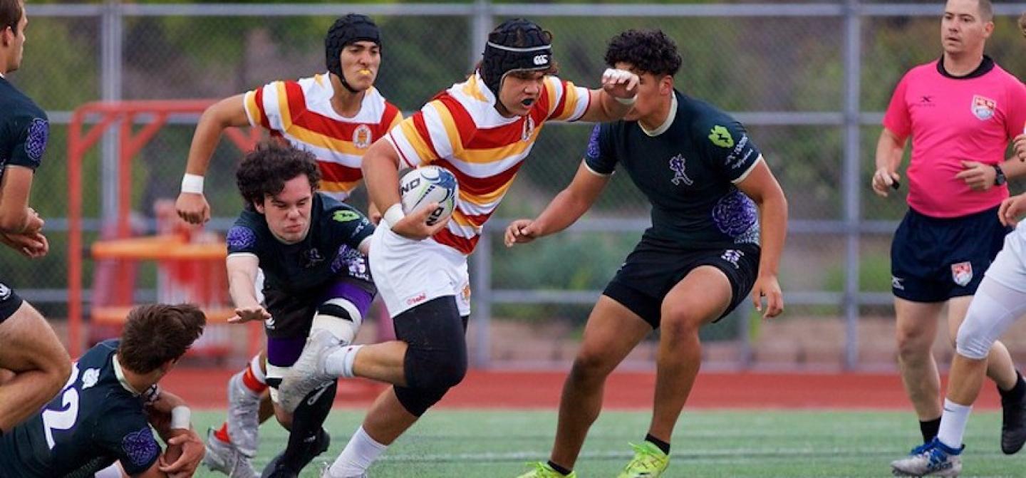 cathedral catholic luk otineru 4 cathedral catholic luk otineru 4