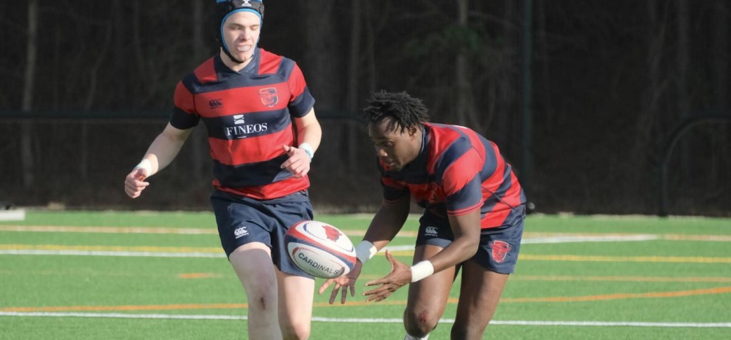 charlotte cardinals 2025 ph dan caple 3771 charlotte cardinals 2025 ph dan caple 3771