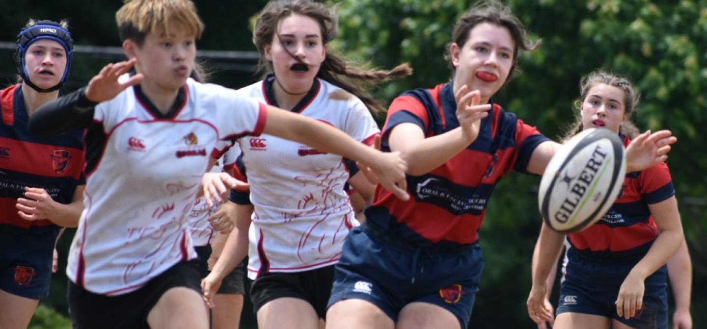 charlotte cardinals girls 2024 james eversole charlotte cardinals girls 2024 james eversole