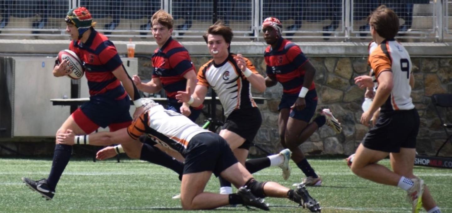 charlotte cardinals vs tigers 2025 ph mel fitzgerald 3 charlotte cardinals vs tigers 2025 ph mel fitzgerald 3