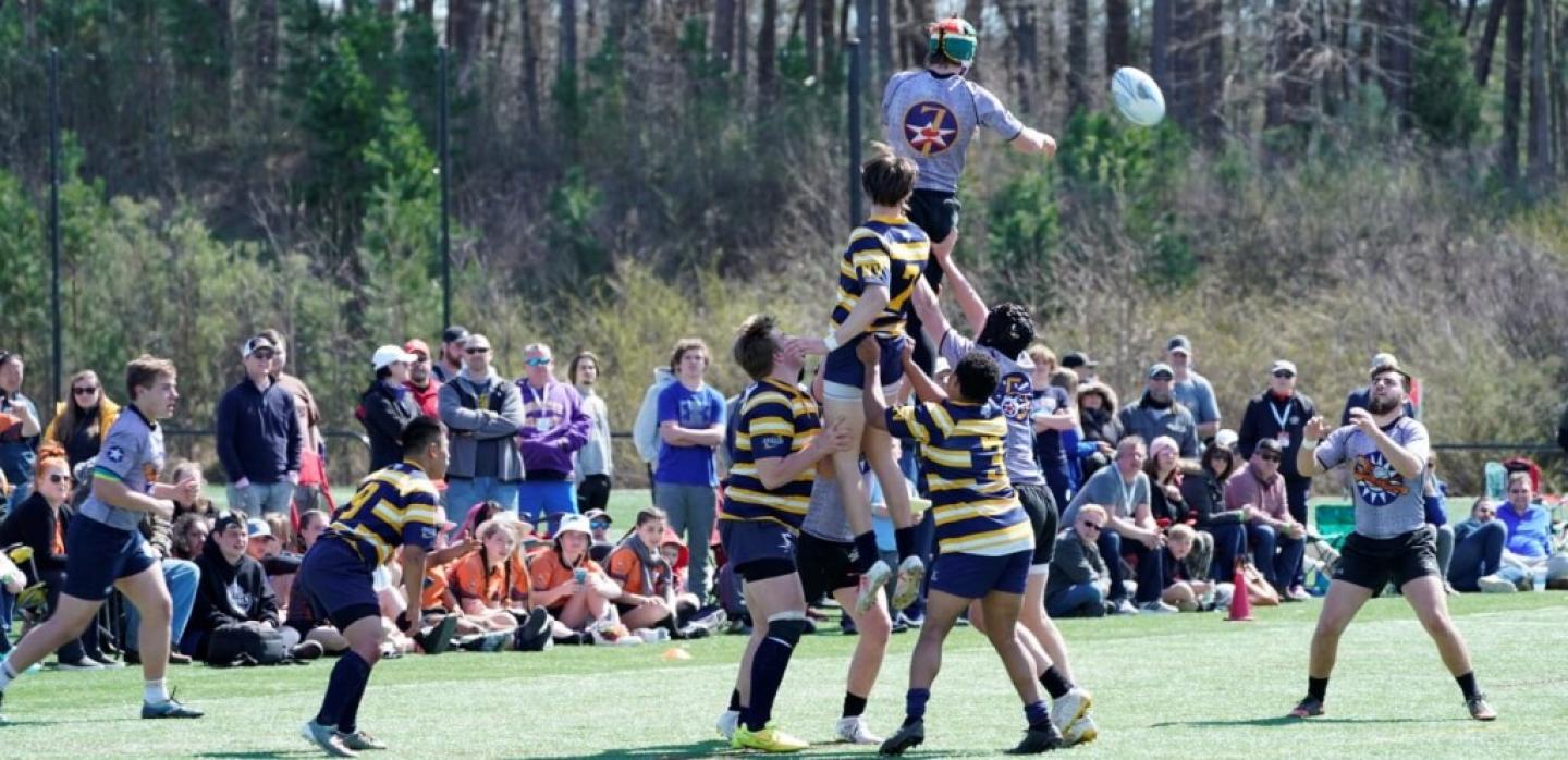 charlotte tigers 2020 charlotte tigers 2020