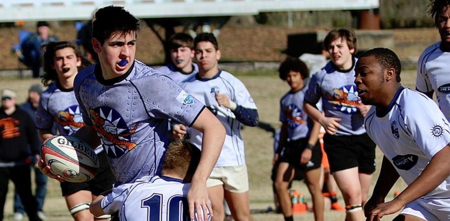 charlotte tigers david grant charlotte tigers david grant