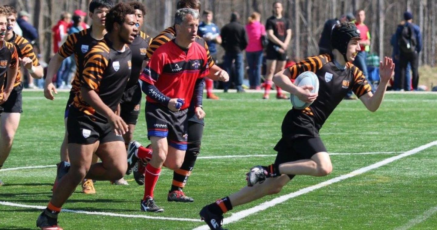 charlottetigers2016 1 charlottetigers2016 1