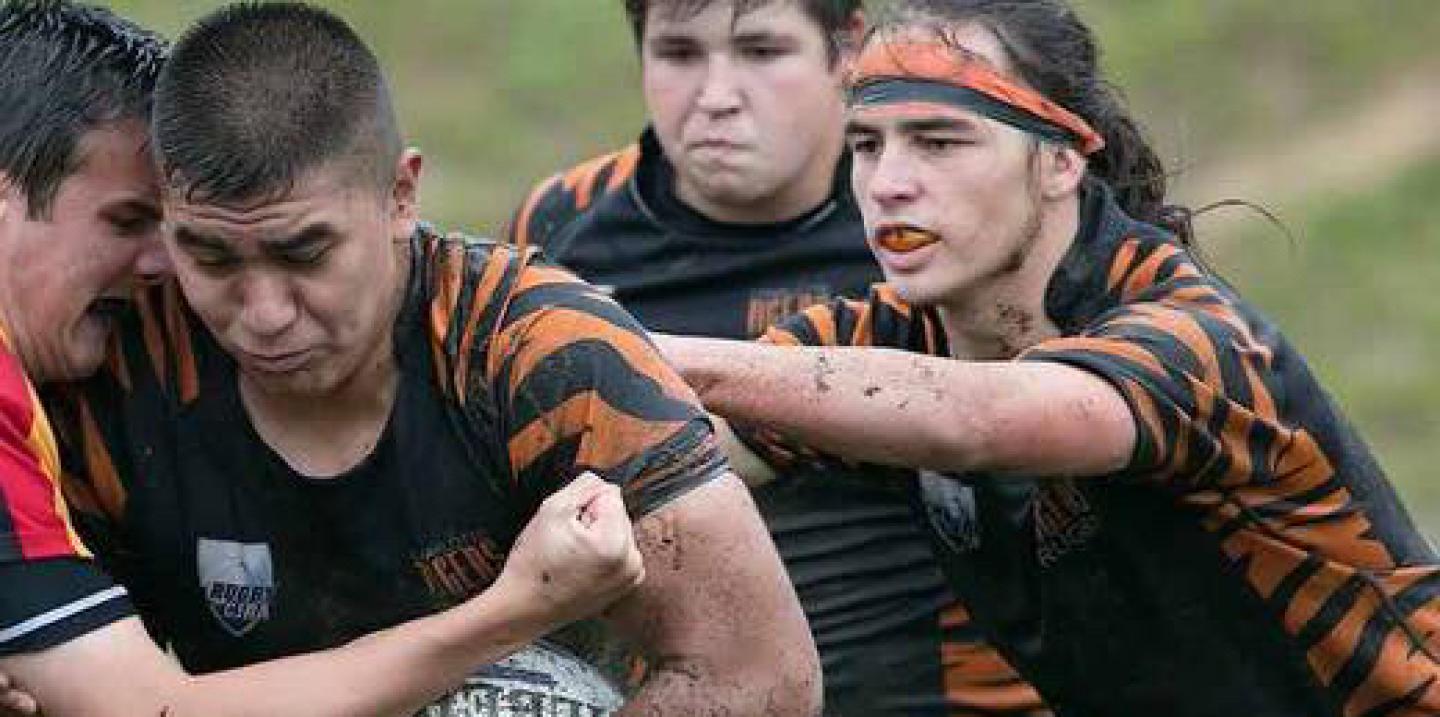 charlottetigers2016 2 charlottetigers2016 2