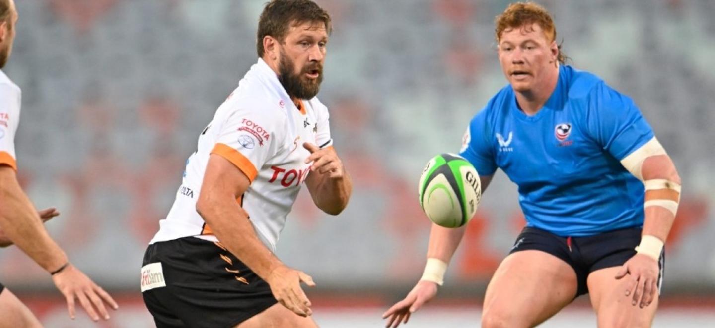 cheethas vs falcons 2 cheethas vs falcons 2