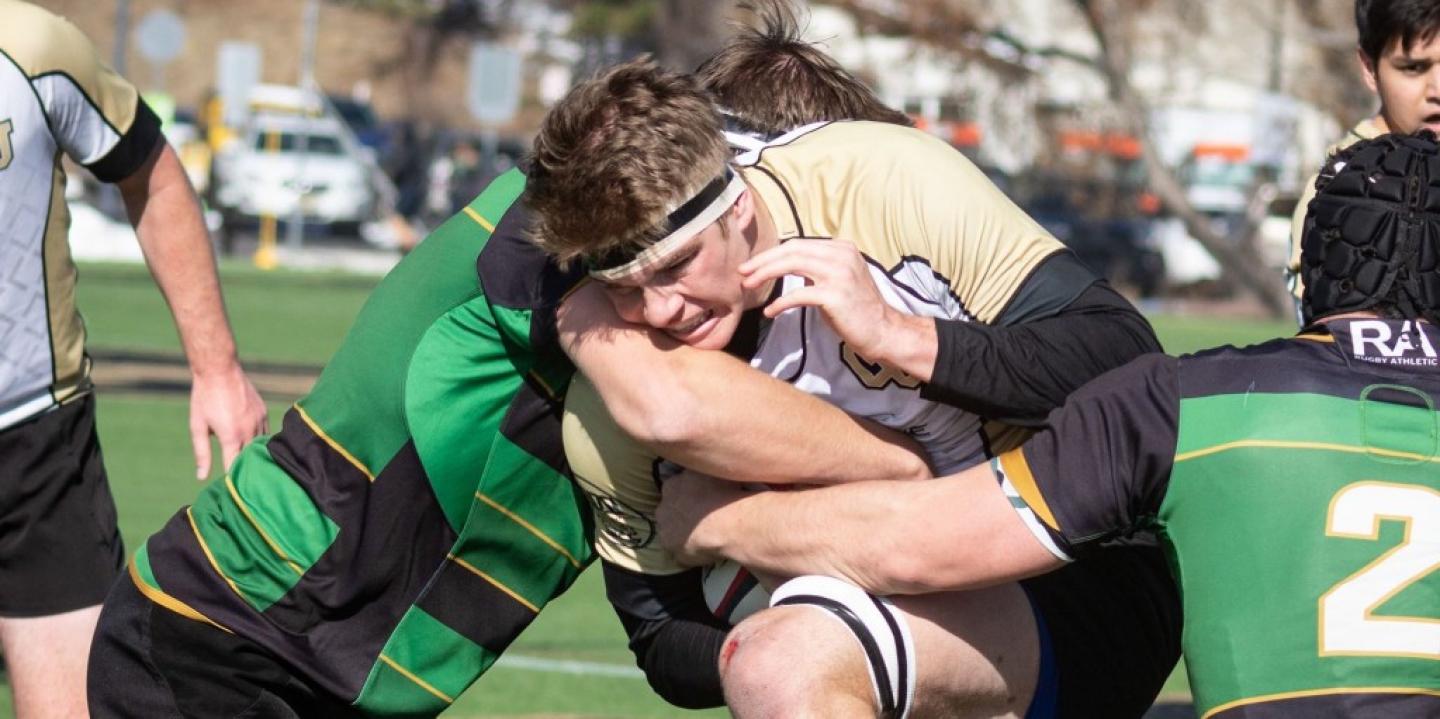 colorado vs csu 2019 desiree fornell miller 3 colorado vs csu 2019 desiree fornell miller 3