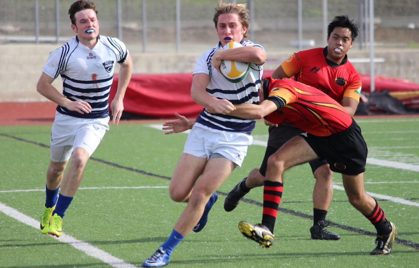 danahills falk wahl michelle wahl danahills falk wahl michelle wahl