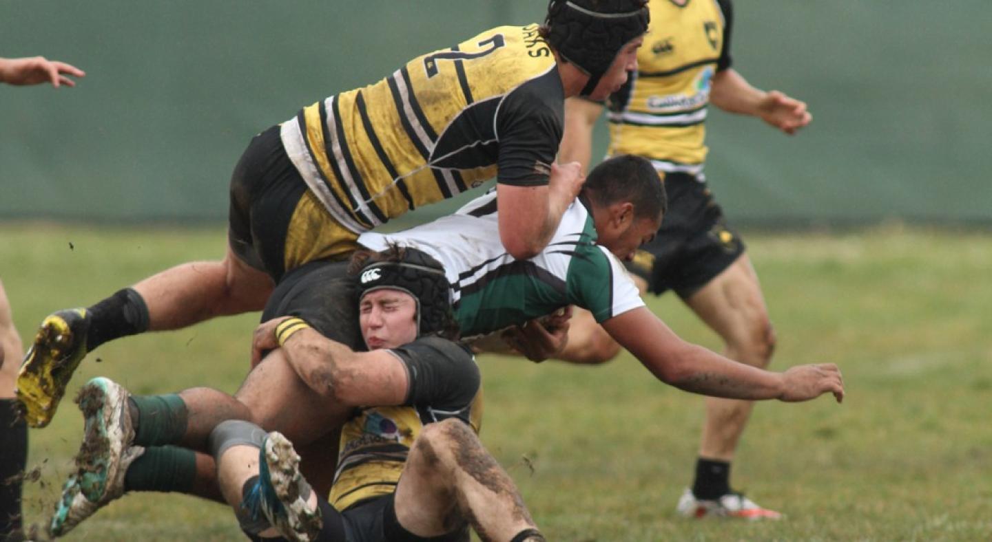 danville pg pacificcup pat conrad benhoffmanontopkevinsaunders below 0 danville pg pacificcup pat conrad benhoffmanontopkevinsaunders below 0