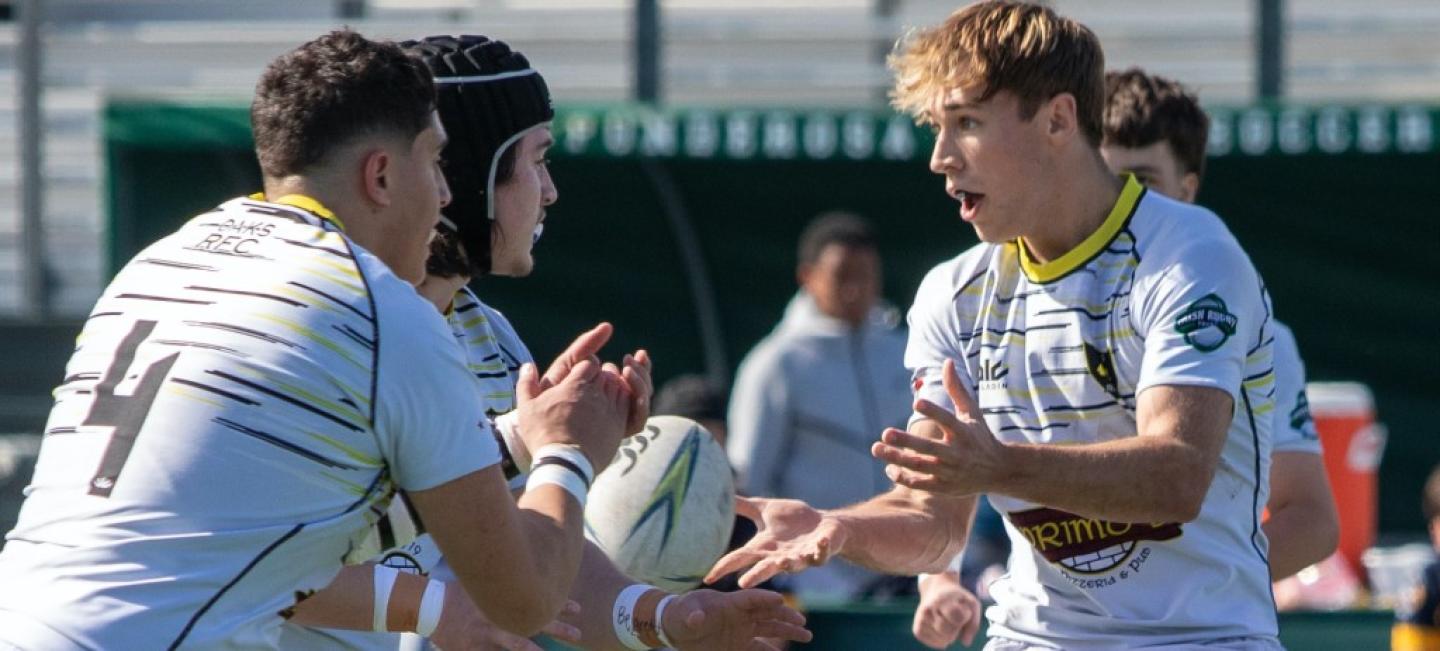 danville 2025 4533 danville 2025 4533