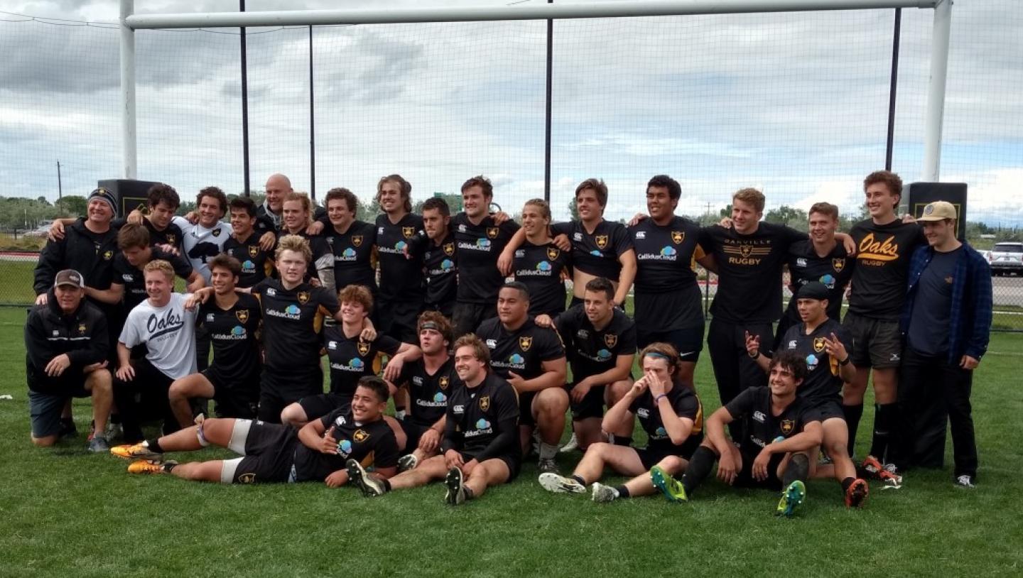 danville group danville group