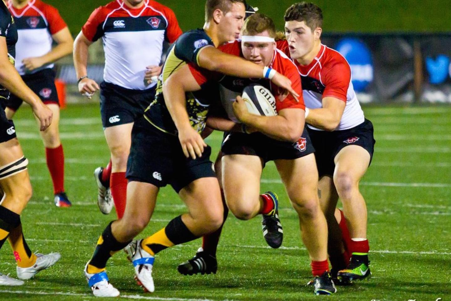 davenportvlindenwood2014 steve zomberg 2 davenportvlindenwood2014 steve zomberg 2