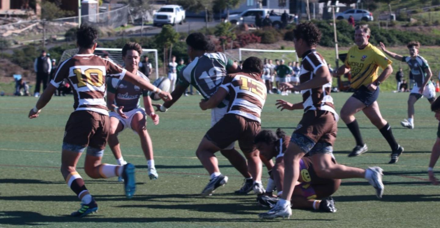 dls phillips 2034 dls phillips 2034