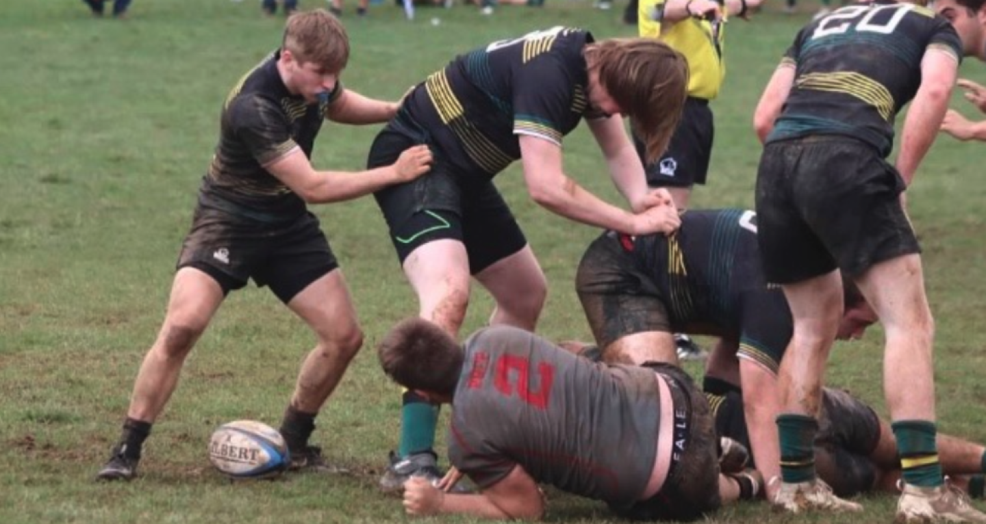 doylestown 2021 betsy oconnor tomlinson doylestown 2021 betsy oconnor tomlinson