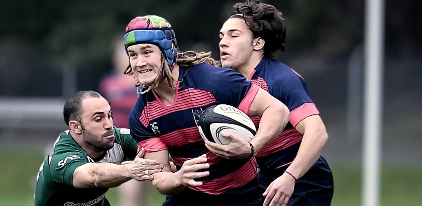 dylanaudsley2016 geib 2 dylanaudsley2016 geib 2