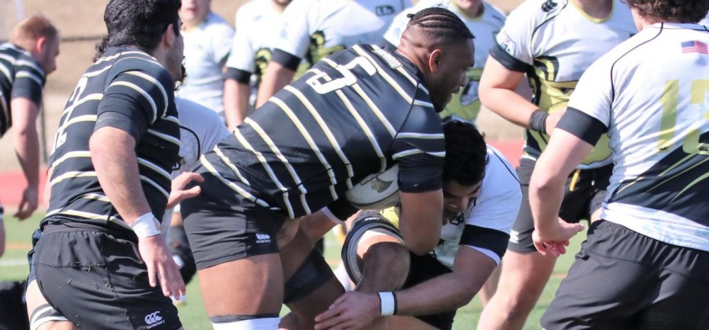 emmanuel albert todd lunow 6 emmanuel albert todd lunow 6