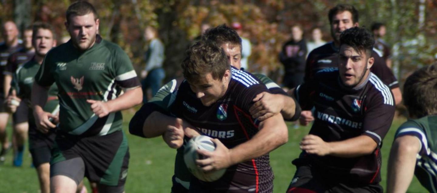 esuvyork2014 esuvyork2014