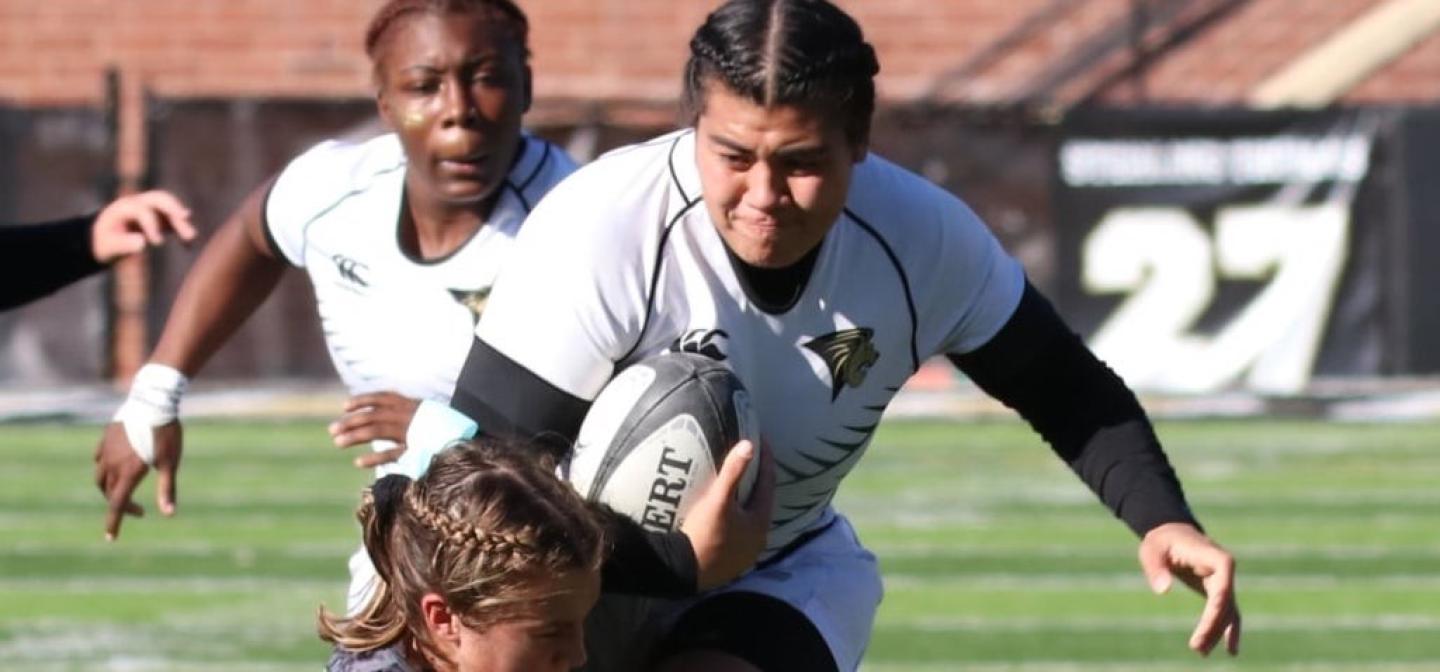 eti haungatau lindenwood todd lunow 3 eti haungatau lindenwood todd lunow 3