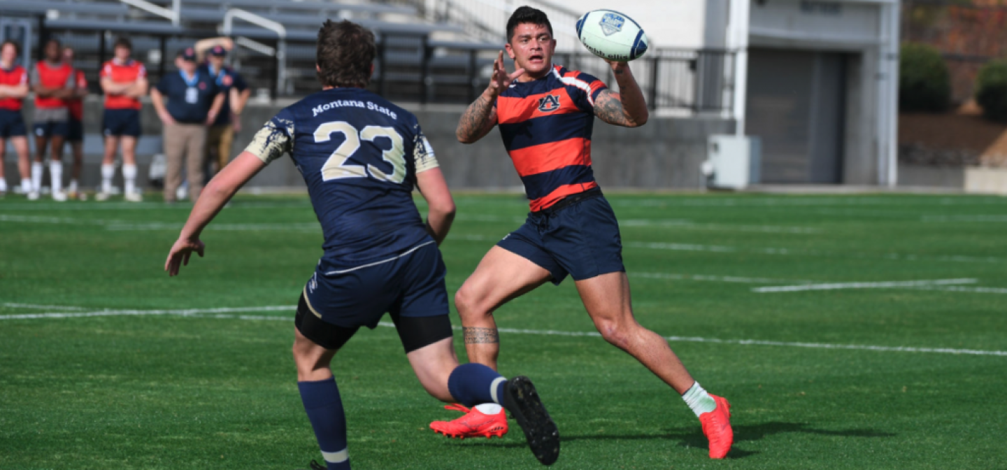 faleniko spino auburn broadgauge media faleniko spino auburn broadgauge media