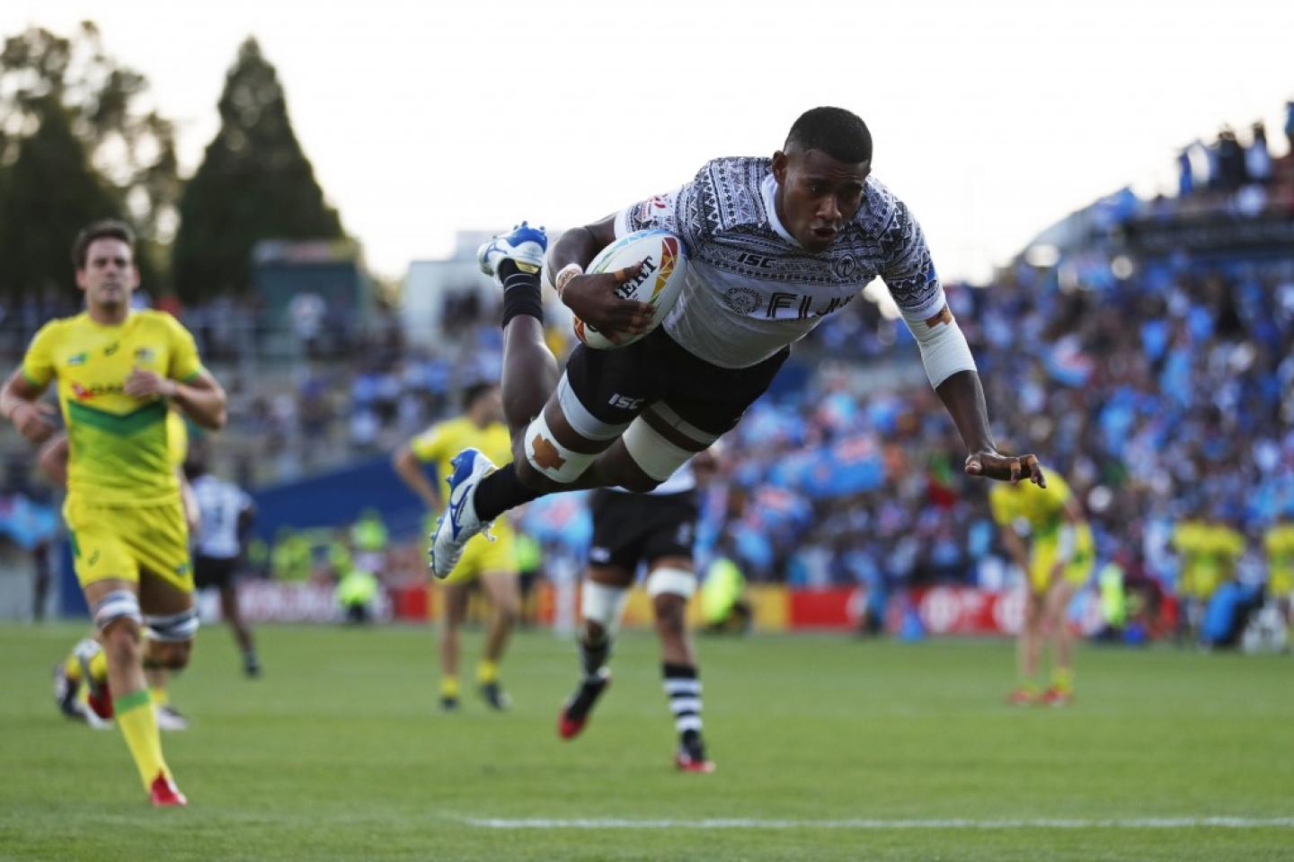 fiji flies hamilton mike lee fiji flies hamilton mike lee