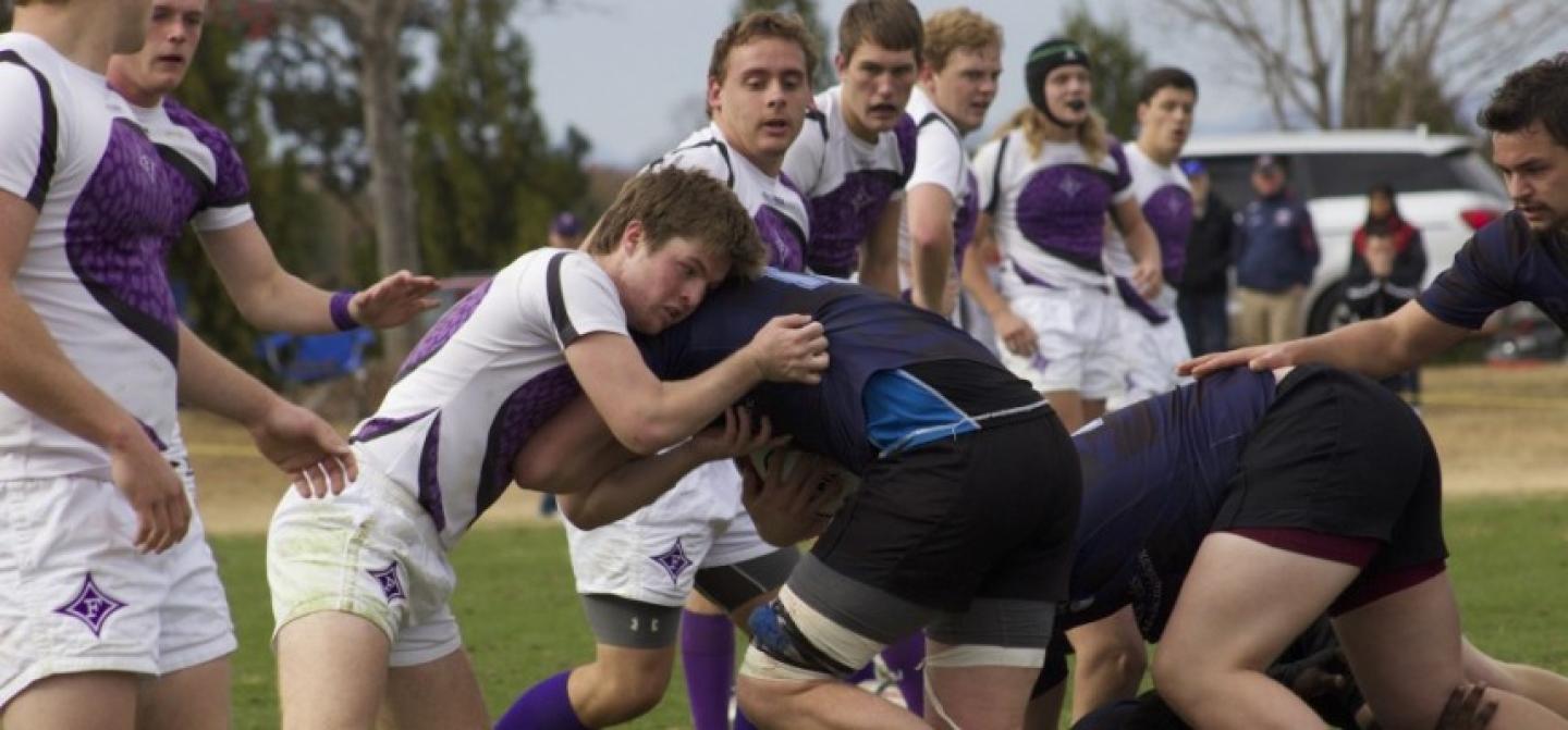 furmanvumd 2016 sophie harris 1 0 furmanvumd 2016 sophie harris 1 0