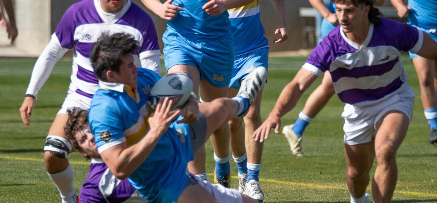 gcu v ucla 25 dalton 41 gcu v ucla 25 dalton 41