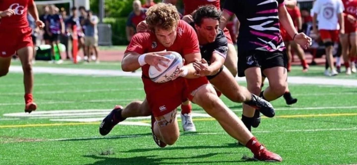 gibbons over okapi gibbons over okapi