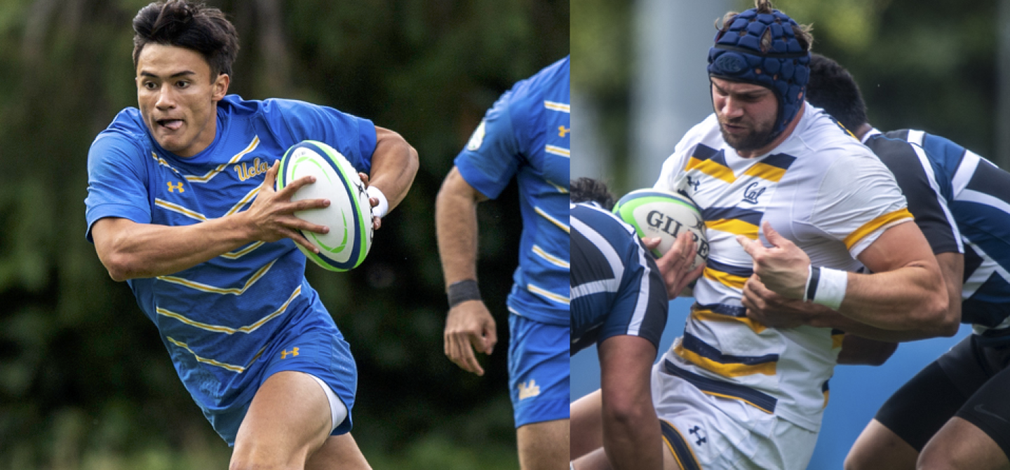 golla and lacamp   barpal golla and lacamp   barpal