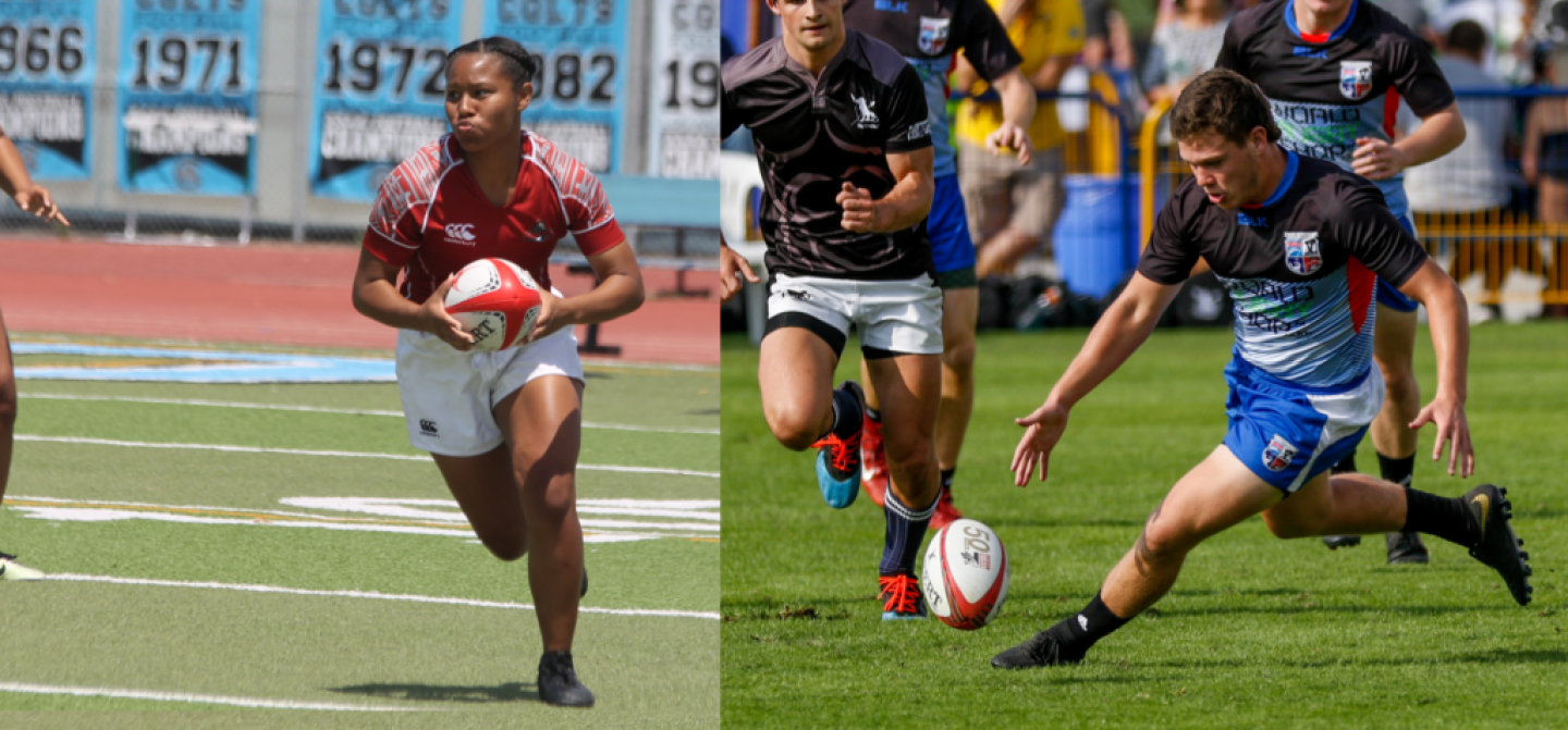 greenhill casados and dowgiewicz greenhill casados and dowgiewicz