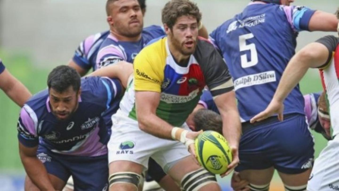 gregpeterson gregpeterson