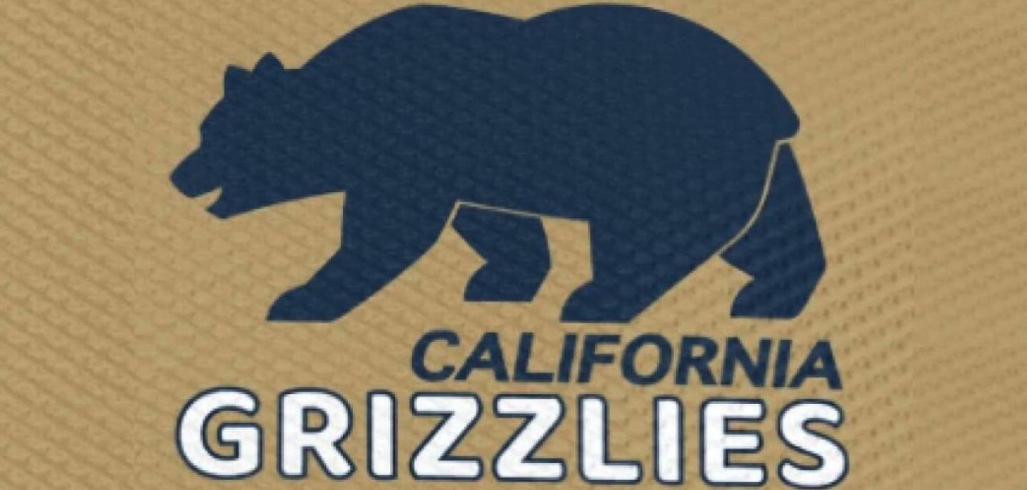 grizzliy bear grizzliy bear